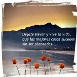 Cuando la vida te para de&nbsp;golpe