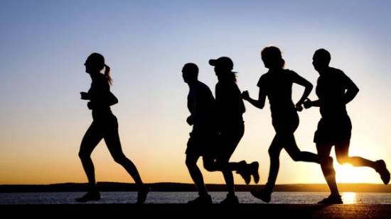 216b95_8888ce974ee94b008becefb6642a5c76